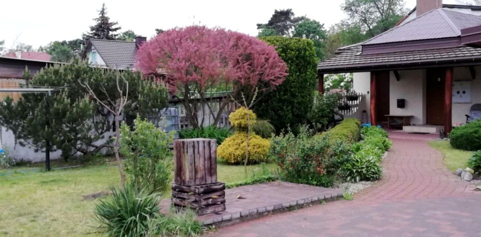 Mieszkanie dom wolnostojący Otwock