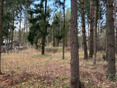 Działka budowlana Czarnów