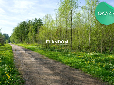 Działka przy lesie