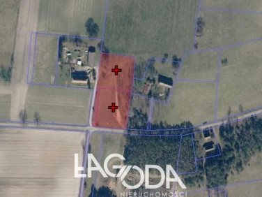 Działka siedliskowa Goszczanowiec