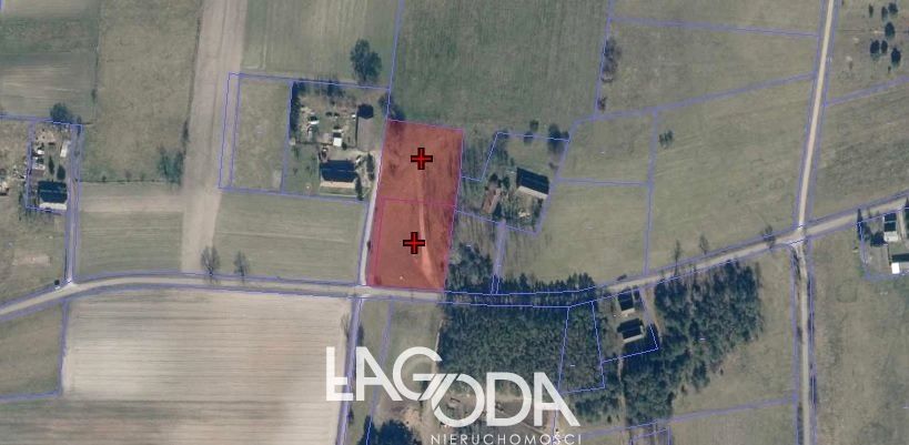 Działka siedliskowa Goszczanowiec