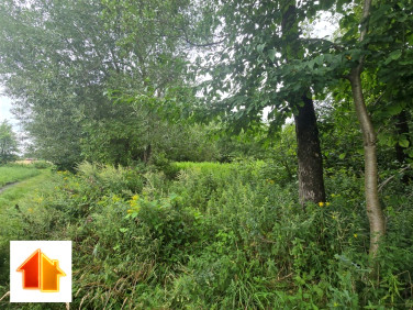 Działka Siecień-Rumunki