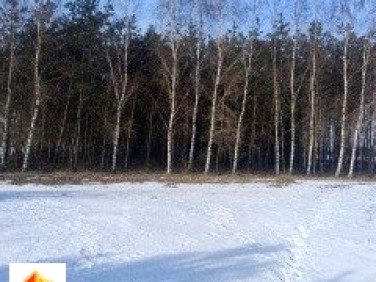 Działka leśna Szczutowo