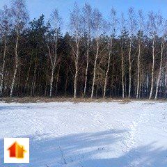 Działka leśna Szczutowo