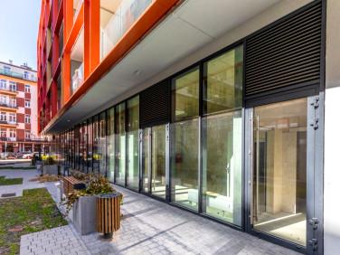 Lokal Lublin wynajem