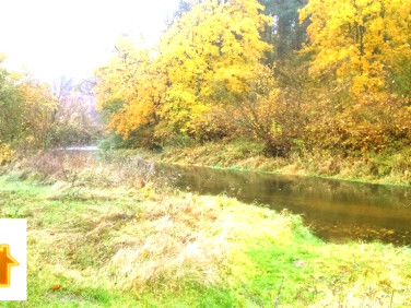 Działka Brudzeń Duży