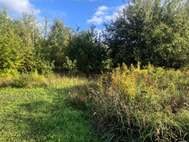 Działka budowlana Goleniów