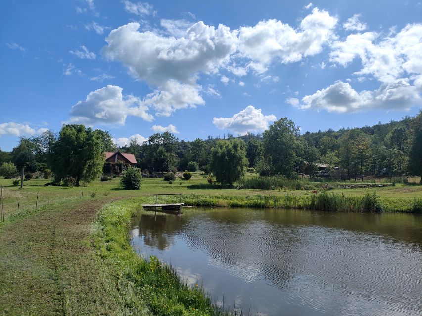 Działka budowlano-rolna Dzierżoniów
