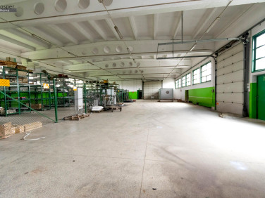 Budynek użytkowy Mielec