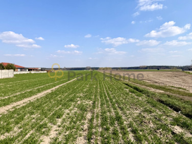 Działka rolna Szymanowo