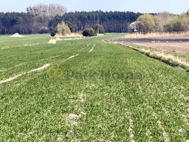 Działka rolna sprzedam