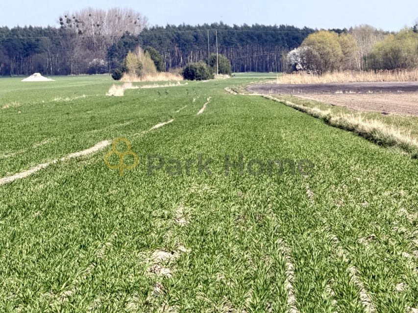 Działka rolna sprzedam