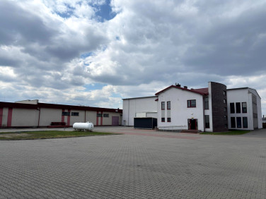 Budynek użytkowy Żyrardów