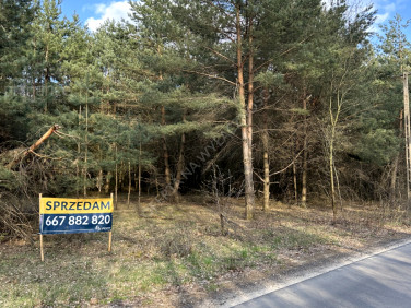 Działka inna Mauryców