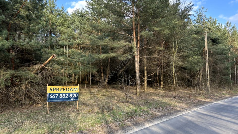 Działka inna Mauryców