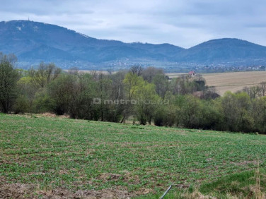 Działka budowlana Pietrzykowice