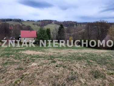 Działka Rybnica Leśna