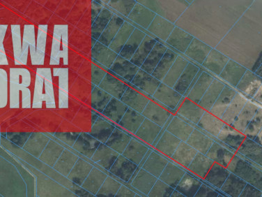 Działka rolna Młódnice sprzedam