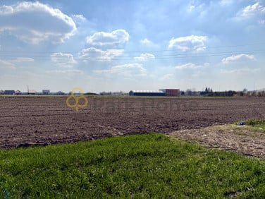 Działka przy lesie
