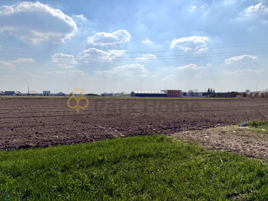 Działka przy lesie