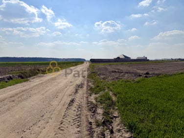 Działka rolna sprzedam