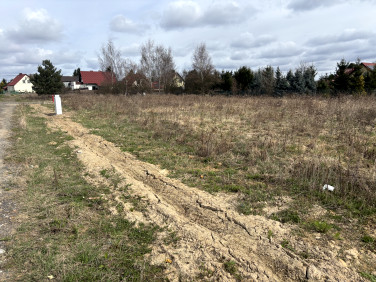 Działka budowlana Lutynia