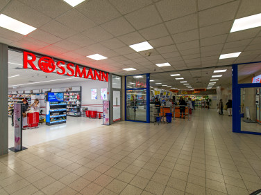 Lokal Wrocław wynajem