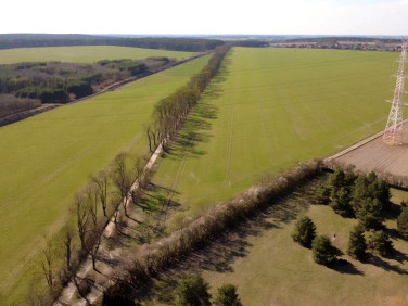 Działka budowlana Wiry sprzedam