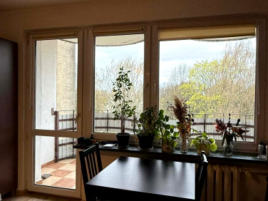 Mieszkanie blok mieszkalny wynajem