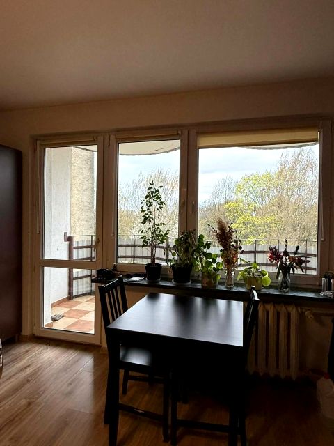 Mieszkanie blok mieszkalny wynajem