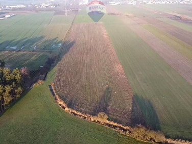 Działka inwestycyjna Borek Wielkopolski