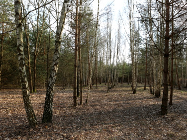 Działka budowlana Nowy Prażmów