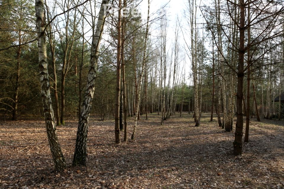 Działka budowlana Nowy Prażmów