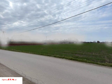 Działka rolna Żaby