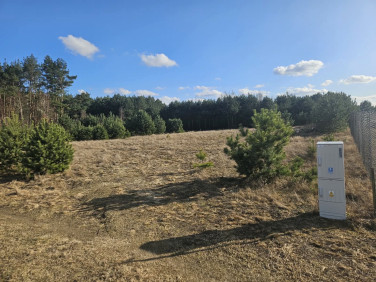 Działka budowlana Paruszka