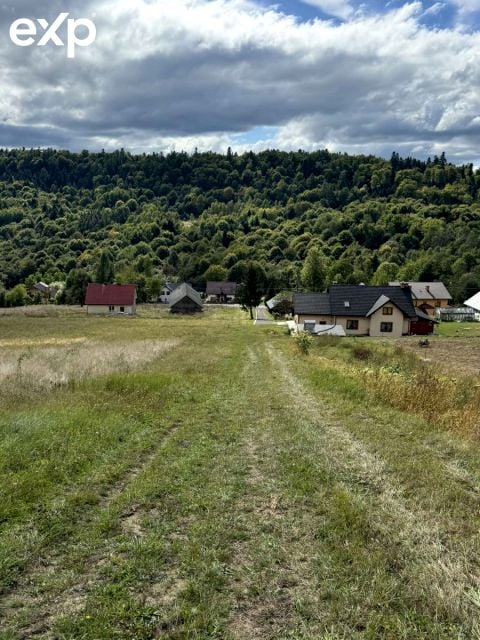 Zdjęcie 2