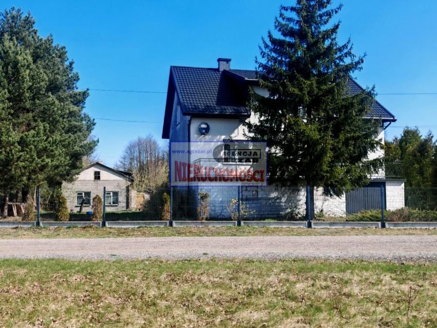 Zdjęcie 3