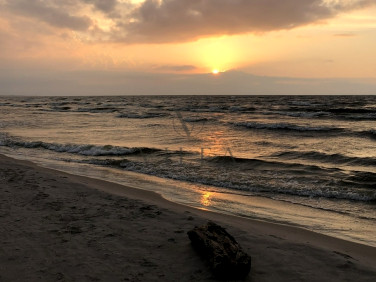 Budynek użytkowy Dąbki