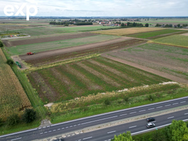 Działka inwestycyjna Borowa