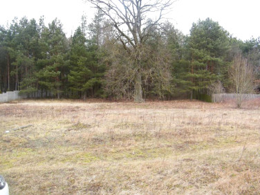 Działka budowlana Krzywopłoty