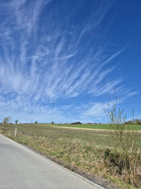 Działka inna Przytok