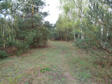 Działka budowlana Powązki