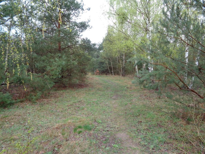 Działka budowlana Powązki