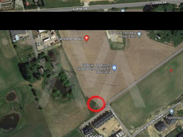 Działka usługowa Banino