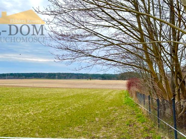 Działka budowlana Lisewo