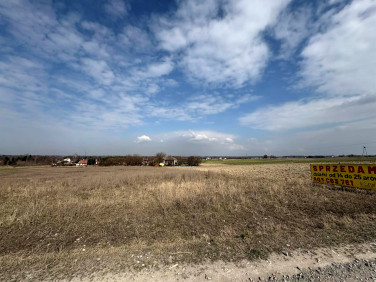 Działka budowlana Niedrzwica Kościelna