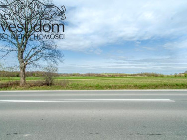 Działka usługowa Kryg