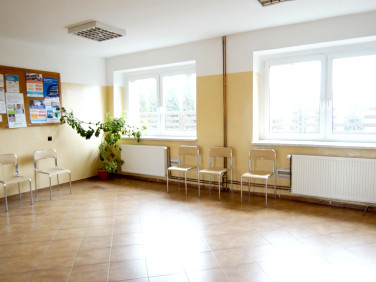 Lokal Błotnica Strzelecka