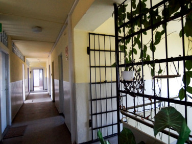 Budynek użytkowy Opole