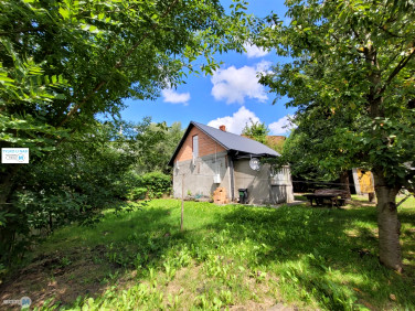 Dom Działoszyce sprzedaż